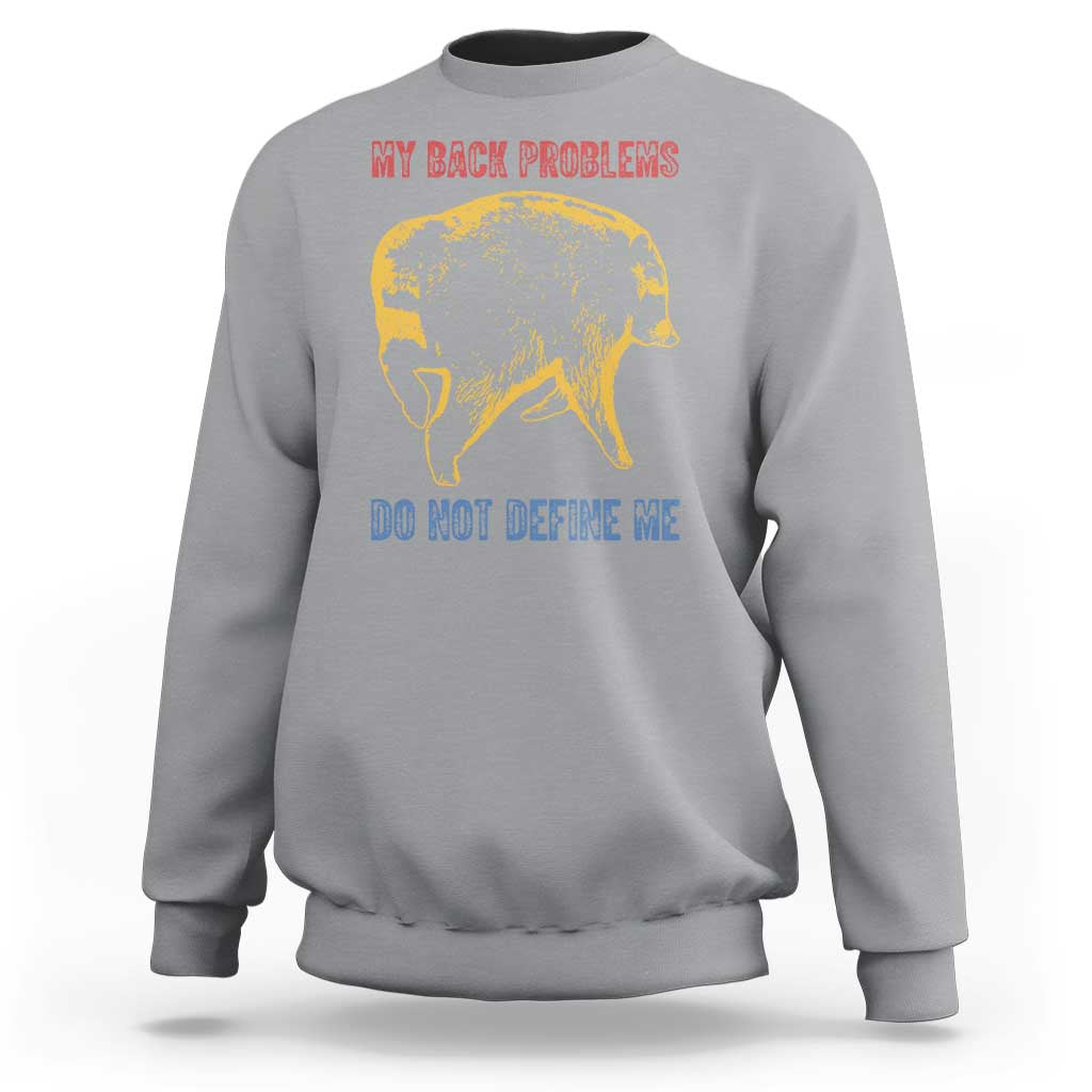 Funny Jimothy Meme Back Pain Humor Sweatshirt My Back Problems Do Not Define Me Viral Seattle Raccoon