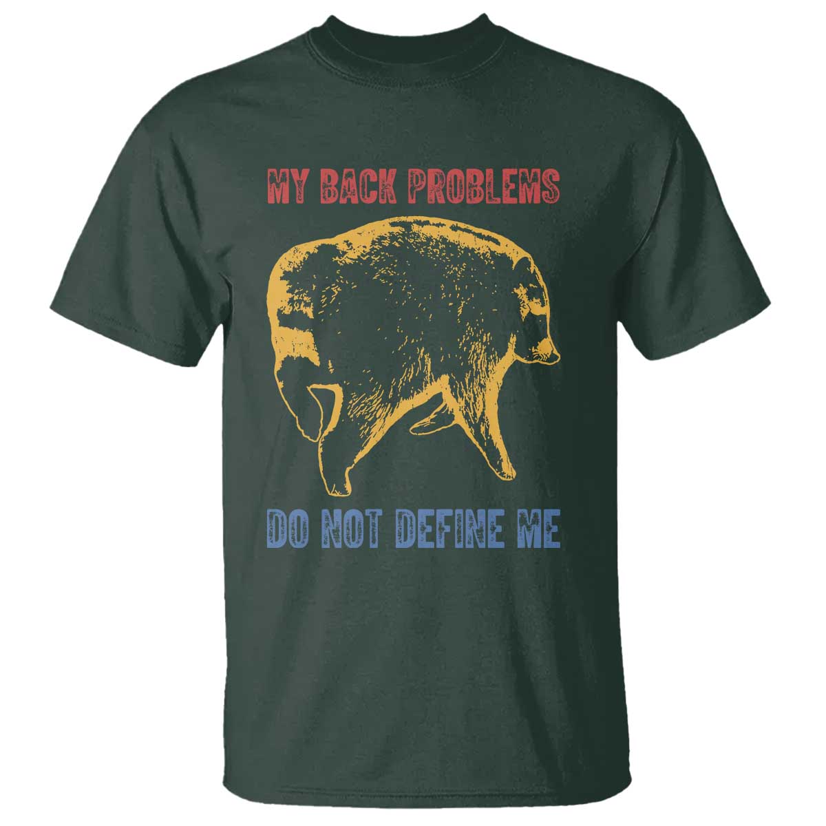 Funny Jimothy Meme Back Pain Humor T Shirt My Back Problems Do Not Define Me Viral Seattle Raccoon