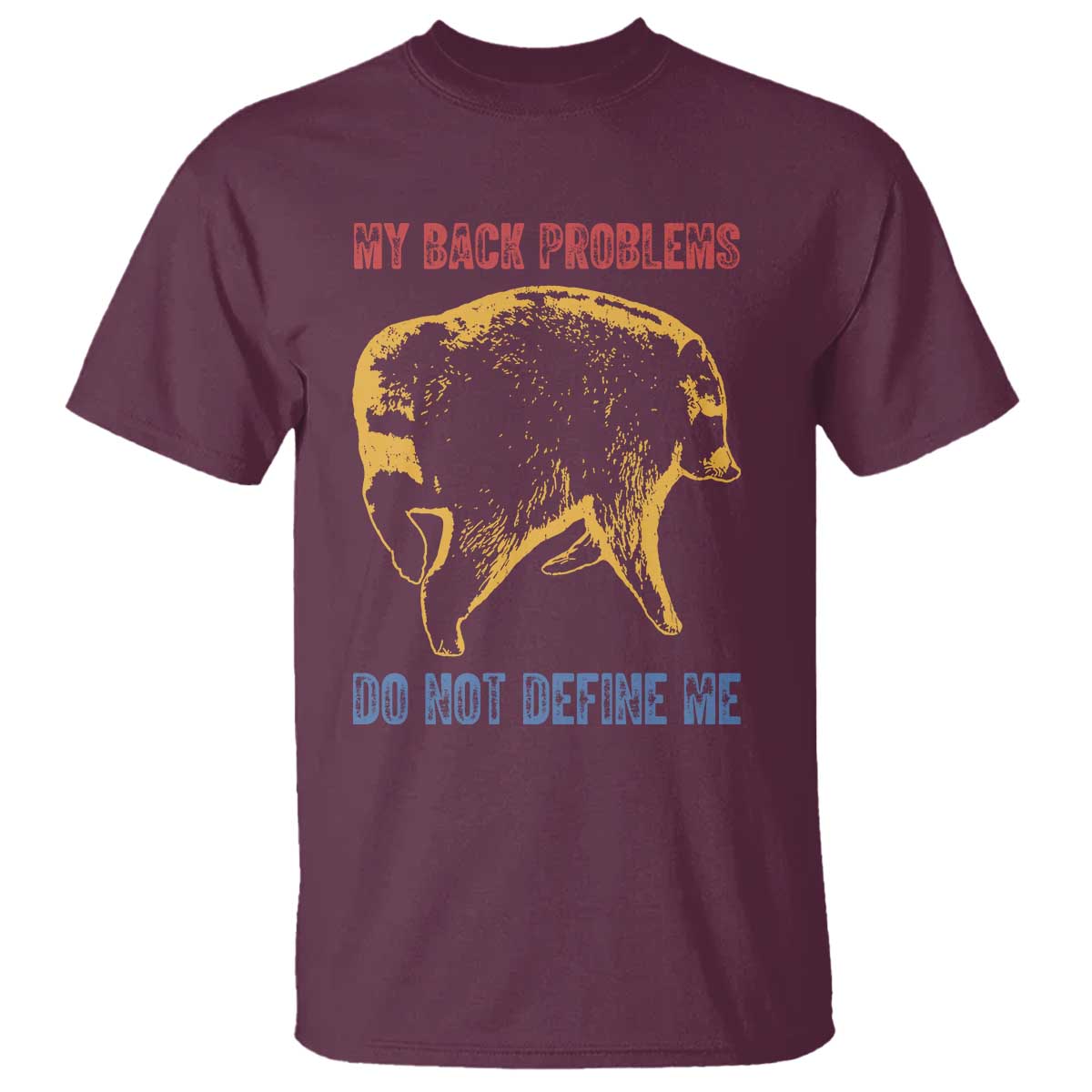 Funny Jimothy Meme Back Pain Humor T Shirt My Back Problems Do Not Define Me Viral Seattle Raccoon