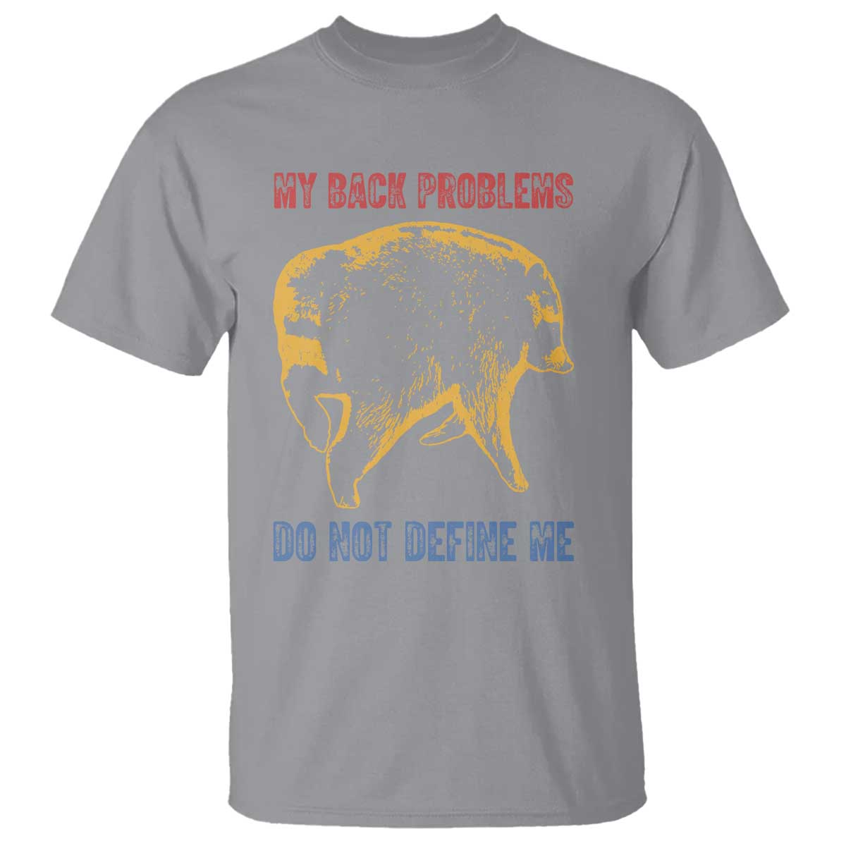 Funny Jimothy Meme Back Pain Humor T Shirt My Back Problems Do Not Define Me Viral Seattle Raccoon