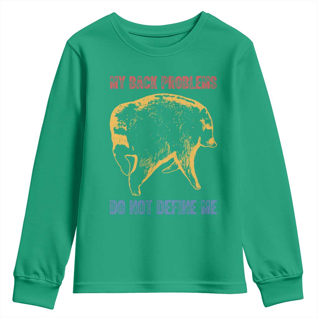 Funny Jimothy Meme Back Pain Humor Youth Sweatshirt My Back Problems Do Not Define Me Viral Seattle Raccoon