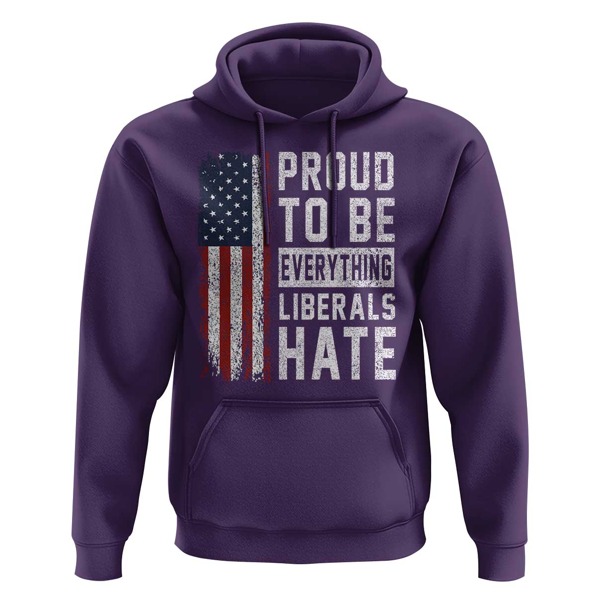 Proud To Be Everything Liberals Hate Satire Hoodie Distressed American Flag Patriotic Sarcasm Graphic
