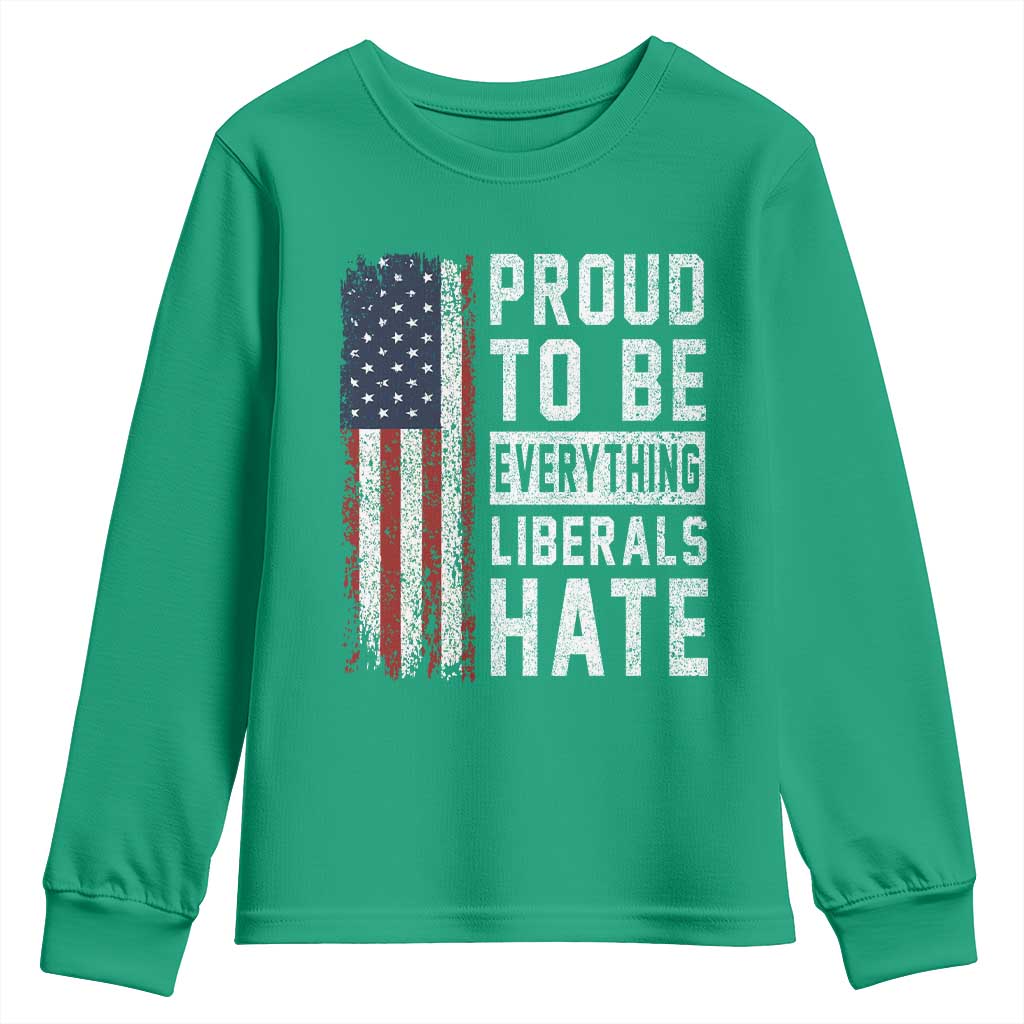 Proud To Be Everything Liberals Hate Satire Youth Sweatshirt Distressed American Flag Patriotic Sarcasm Graphic