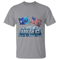 Abolish Ice Minnesota American Flag T Shirt MN Rebel Loon Resistance Protest