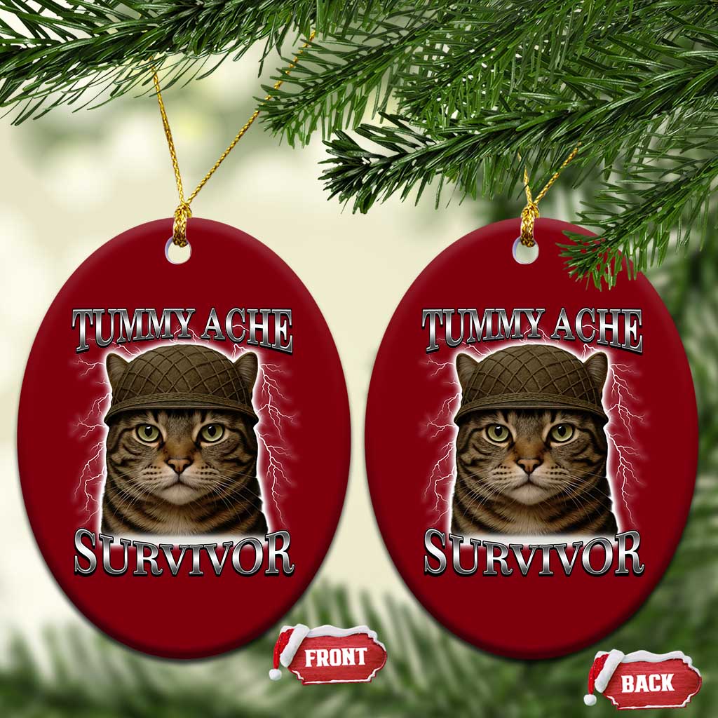 Funny Cat Meme Humor Ceramic Ornament Tummy Ache Survivor Lightning Cats Parody - Wonder Print Shop