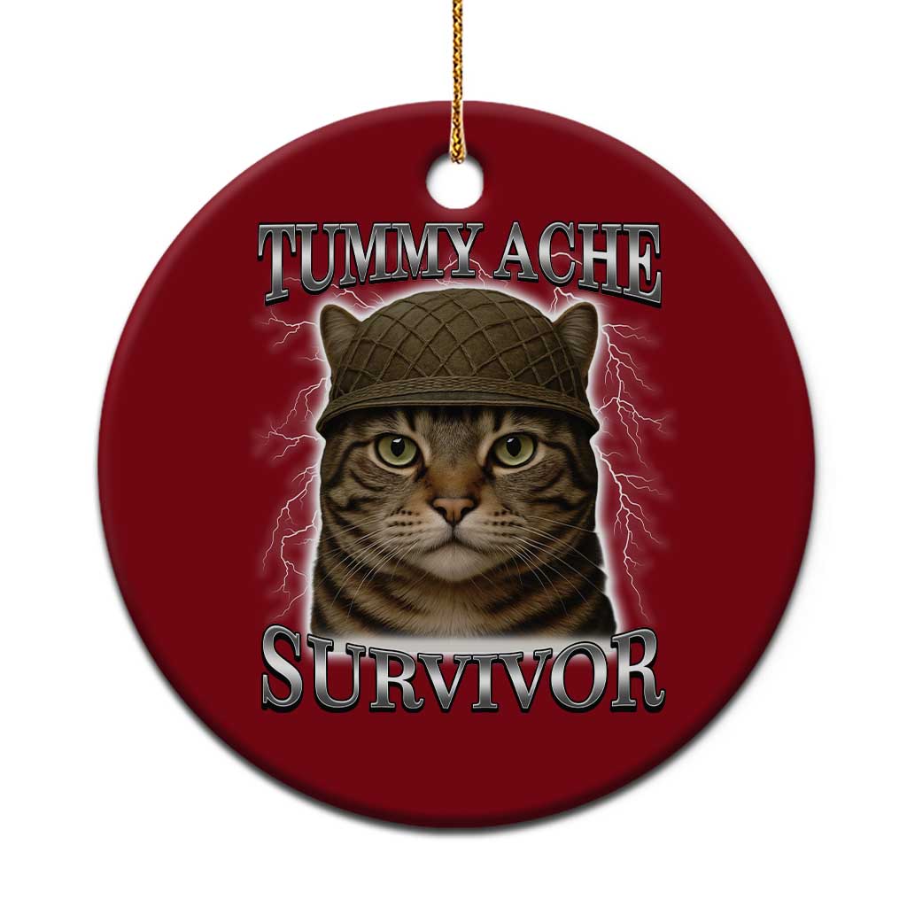 Funny Cat Meme Humor Ceramic Ornament Tummy Ache Survivor Lightning Cats Parody - Wonder Print Shop
