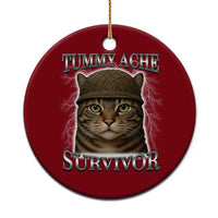 Funny Cat Meme Humor Ceramic Ornament Tummy Ache Survivor Lightning Cats Parody - Wonder Print Shop