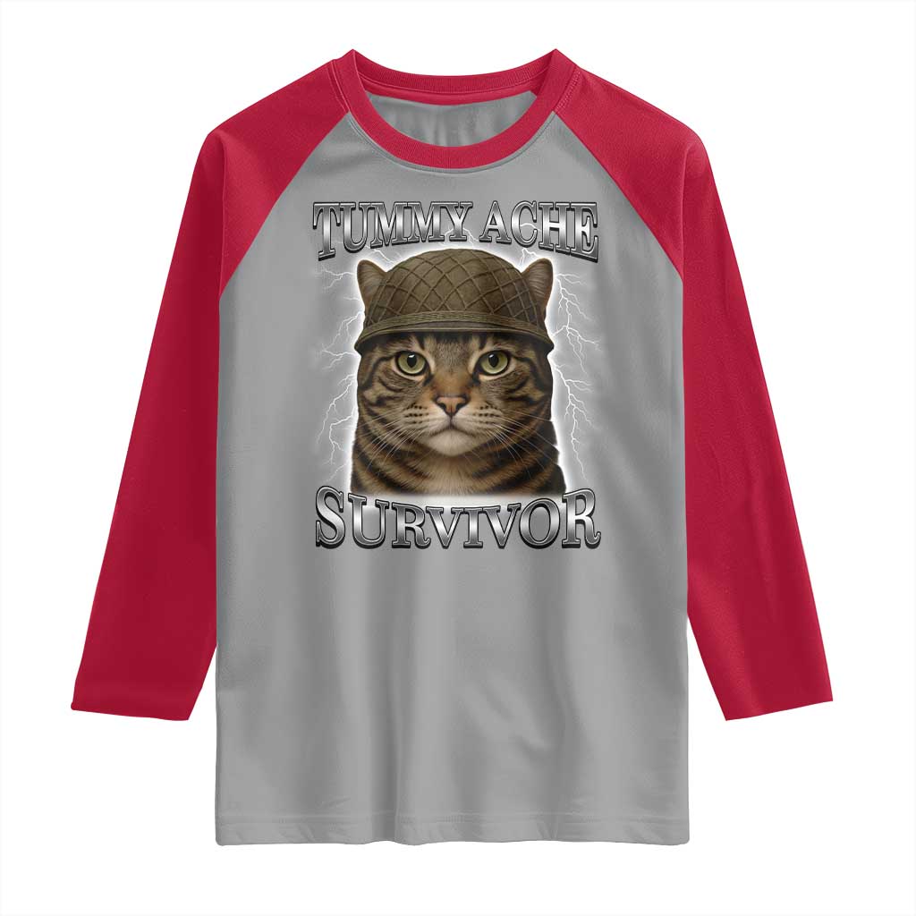 Funny Cat Meme Humor Raglan Shirt Tummy Ache Survivor Lightning Cats Parody