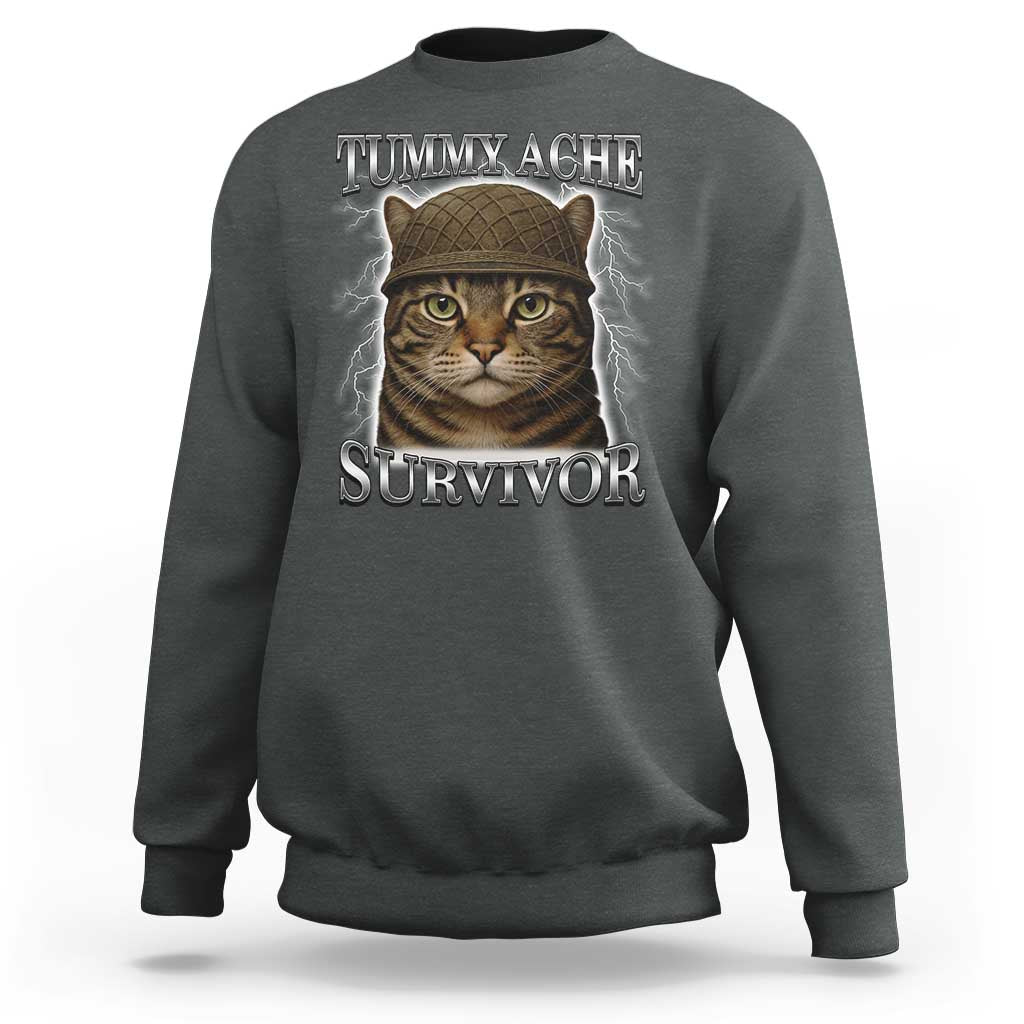 Funny Cat Meme Humor Sweatshirt Tummy Ache Survivor Lightning Cats Parody