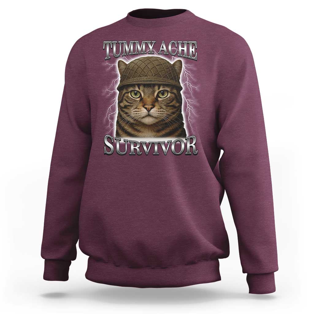 Funny Cat Meme Humor Sweatshirt Tummy Ache Survivor Lightning Cats Parody