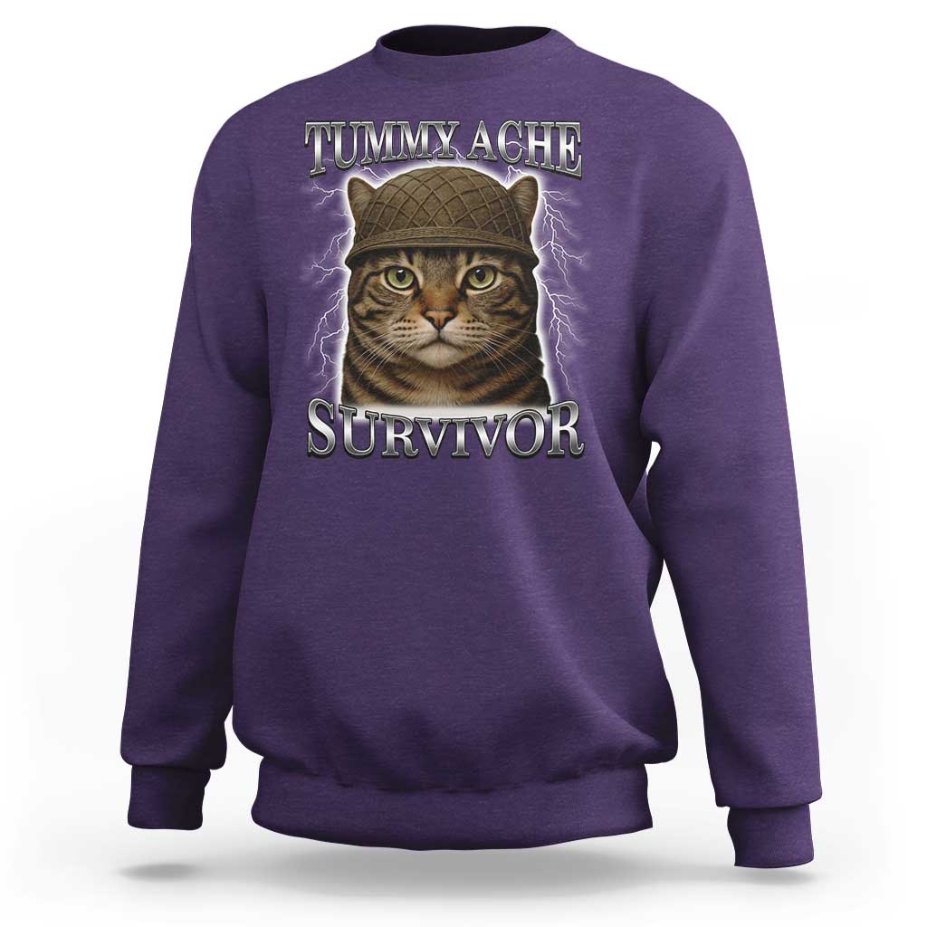 Funny Cat Meme Humor Sweatshirt Tummy Ache Survivor Lightning Cats Parody