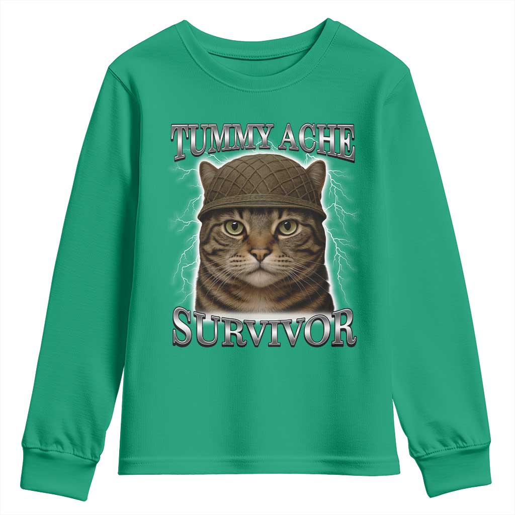 Funny Cat Meme Humor Youth Sweatshirt Tummy Ache Survivor Lightning Cats Parody