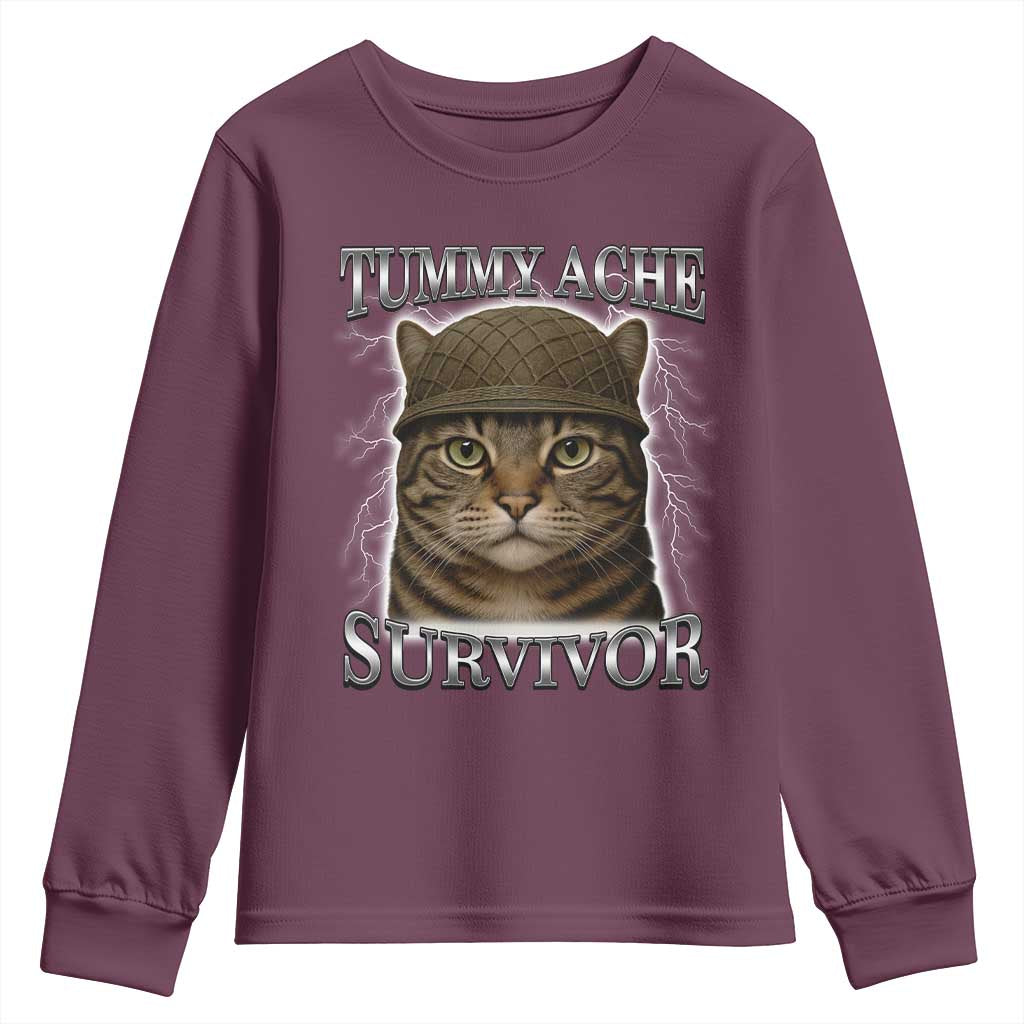 Funny Cat Meme Humor Youth Sweatshirt Tummy Ache Survivor Lightning Cats Parody