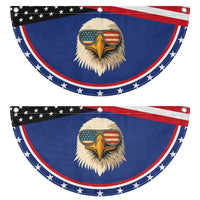 American Bald Eagle Patriotic Fan Flag With Sunglasses USA Flag Vintage