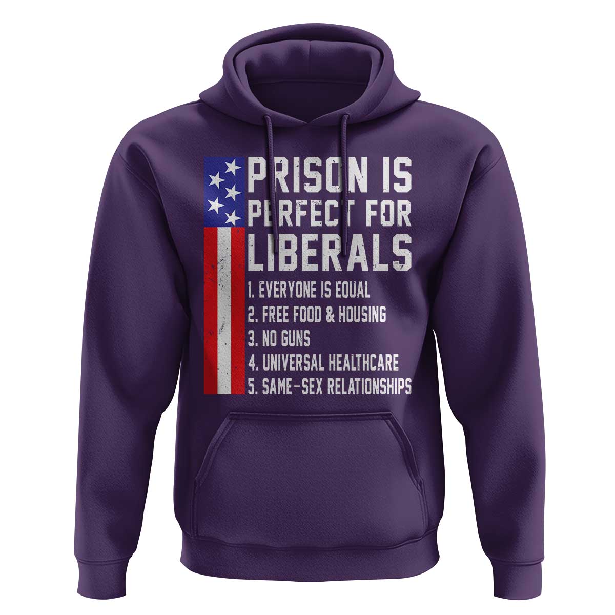 Prison Is Perfect For Liberals Hoodie Distressed American Flag Conservative Humor