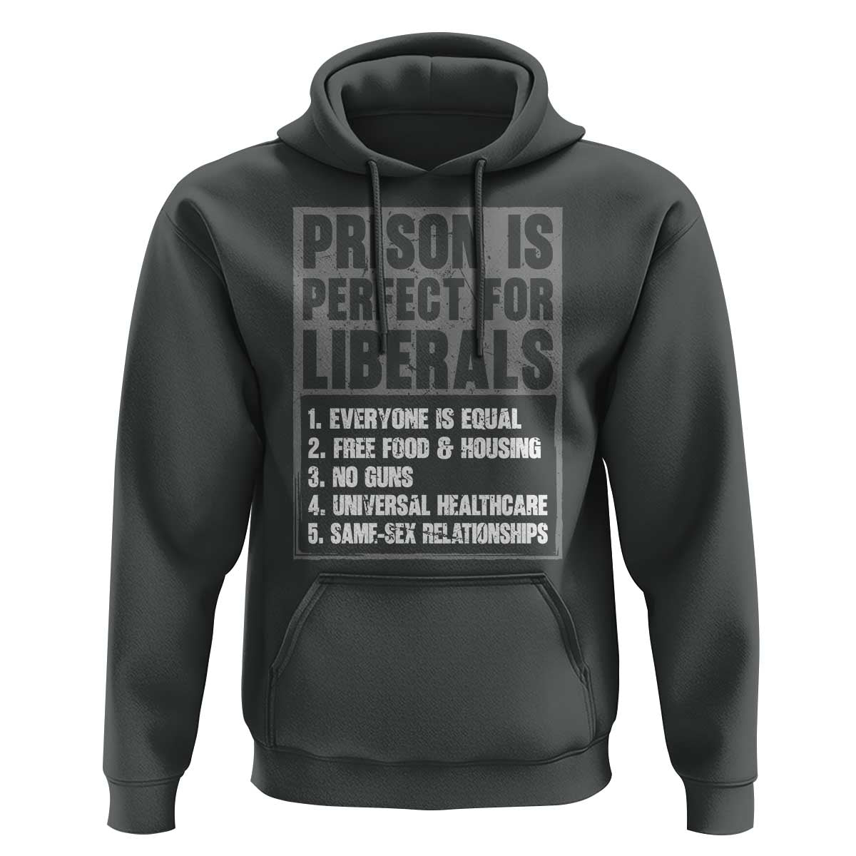Prison Is Perfect For Liberals Hoodie Satirical List Retro Grunge Conservative Humor