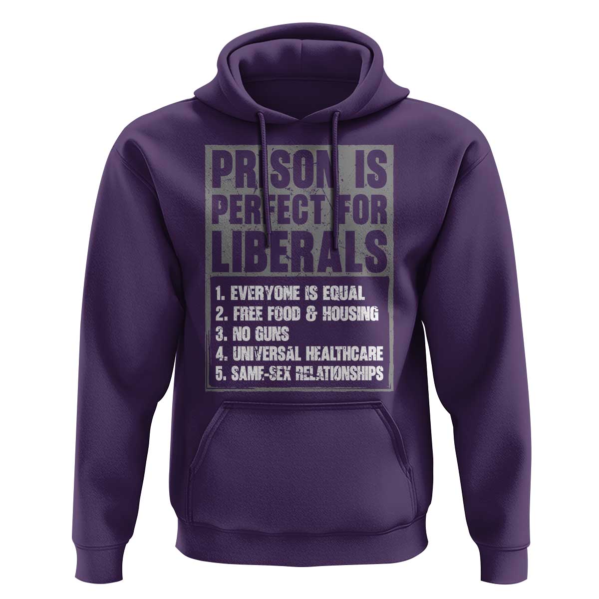 Prison Is Perfect For Liberals Hoodie Satirical List Retro Grunge Conservative Humor