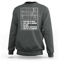Prison Is Perfect For Liberals Sweatshirt Satirical List Retro Grunge Conservative Humor