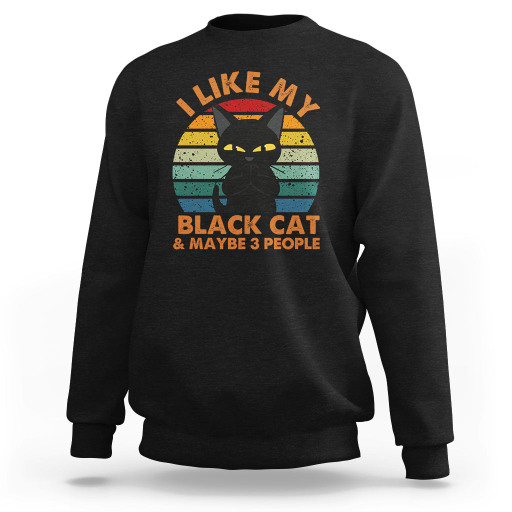 Cat Lover Sweatshirt I Like My Black Cat & Maybe 3 People - Wonder Print Shop