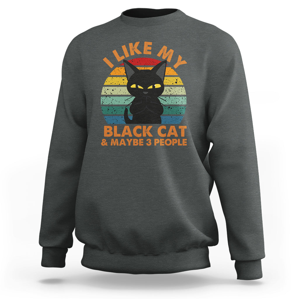 Cat Lover Sweatshirt I Like My Black Cat & Maybe 3 People - Wonder Print Shop