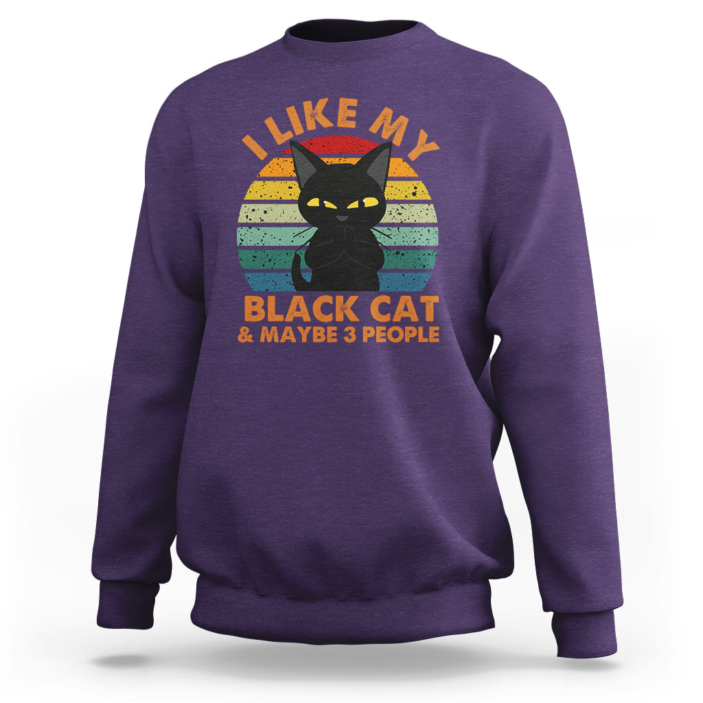 Cat Lover Sweatshirt I Like My Black Cat & Maybe 3 People - Wonder Print Shop