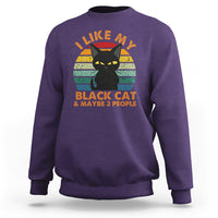 Cat Lover Sweatshirt I Like My Black Cat & Maybe 3 People - Wonder Print Shop
