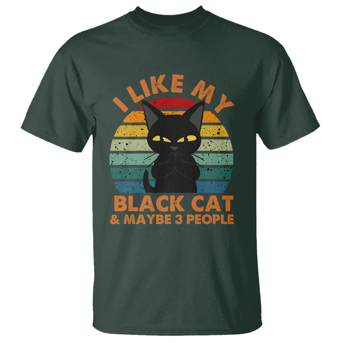 Cat Lover T Shirt I Like My Black Cat & Maybe 3 People - Wonder Print Shop