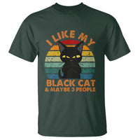 Cat Lover T Shirt I Like My Black Cat & Maybe 3 People - Wonder Print Shop