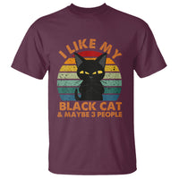 Cat Lover T Shirt I Like My Black Cat & Maybe 3 People - Wonder Print Shop