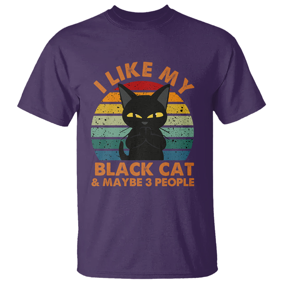 Cat Lover T Shirt I Like My Black Cat & Maybe 3 People - Wonder Print Shop