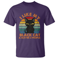 Cat Lover T Shirt I Like My Black Cat & Maybe 3 People - Wonder Print Shop