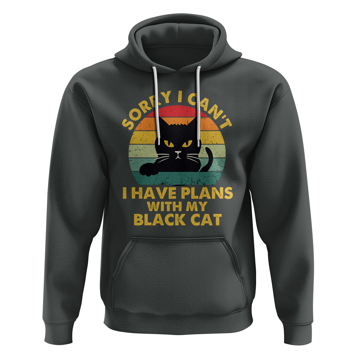 Cat Lover Hoodie Sorry I Can't I Have Plans With My Black Cat - Wonder Print Shop