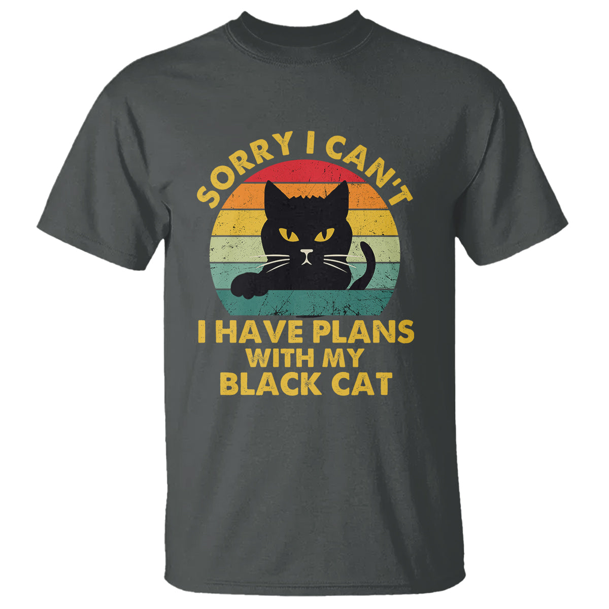 Cat Lover T Shirt Sorry I Can't I Have Plans With My Black Cat - Wonder Print Shop