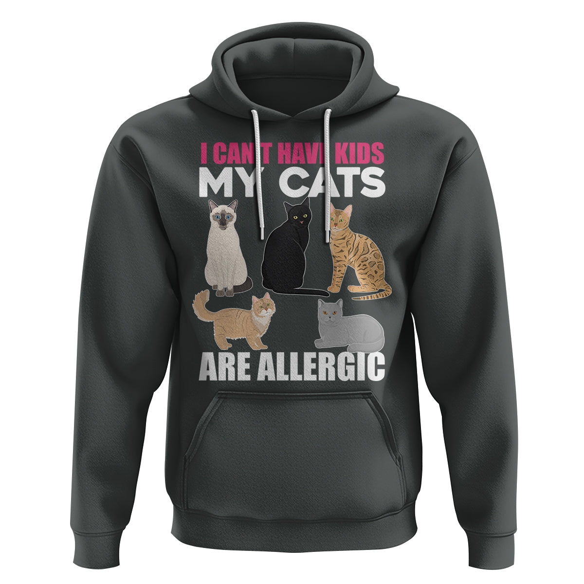 Cat Lover Hoodie I Can't Have Kids My Cats Is Allergic - Wonder Print Shop