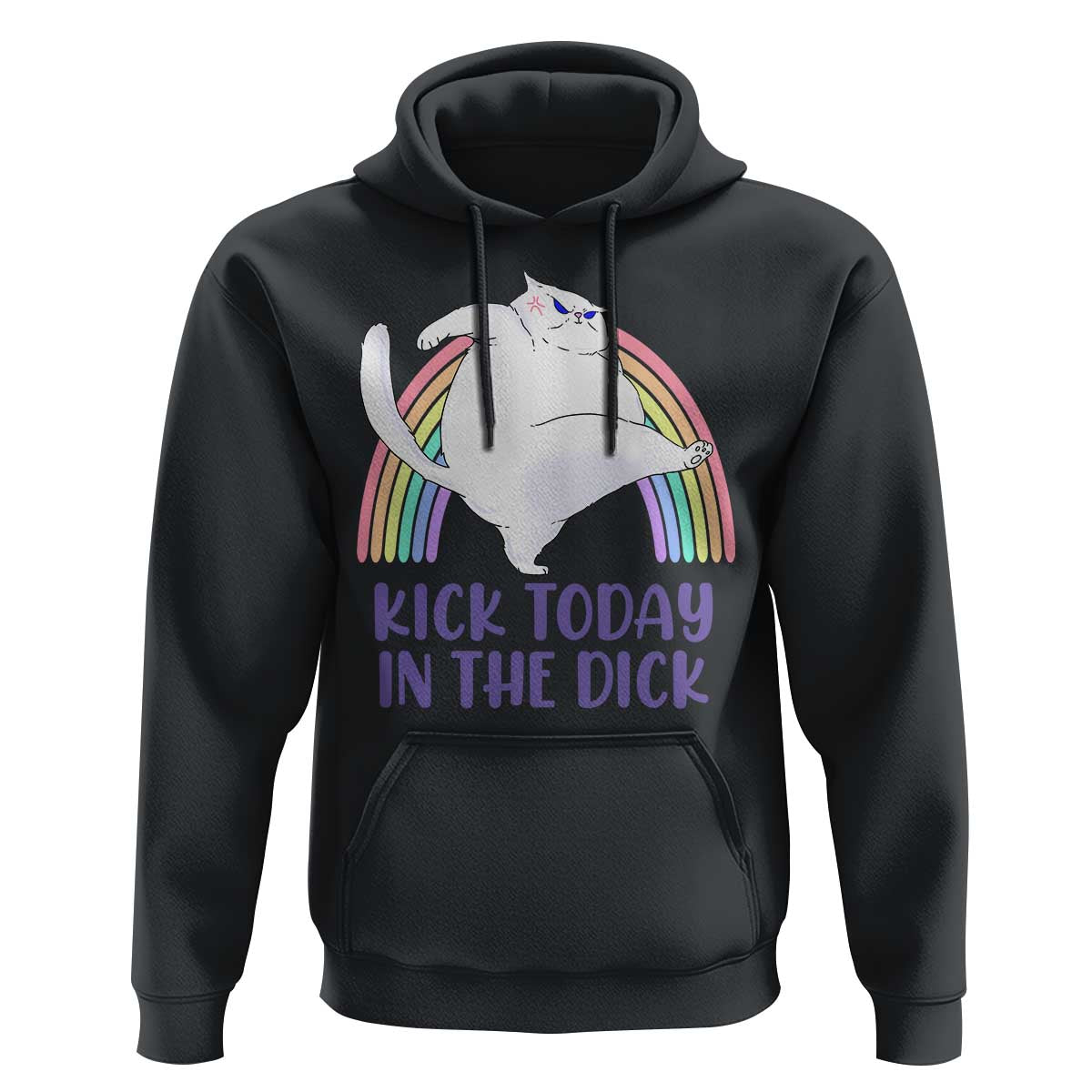 Funny Sarcastic Cat Hoodie Kick Today In The Dick Pastel Rainbow