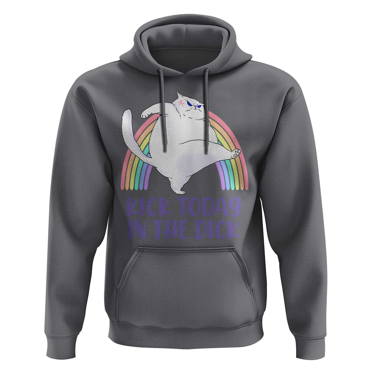 Funny Sarcastic Cat Hoodie Kick Today In The Dick Pastel Rainbow