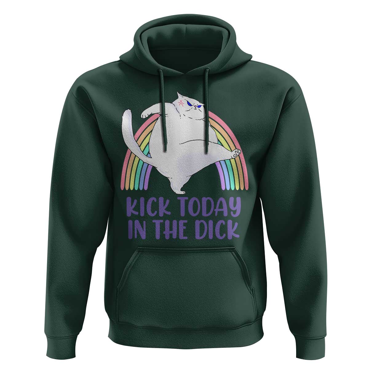 Funny Sarcastic Cat Hoodie Kick Today In The Dick Pastel Rainbow