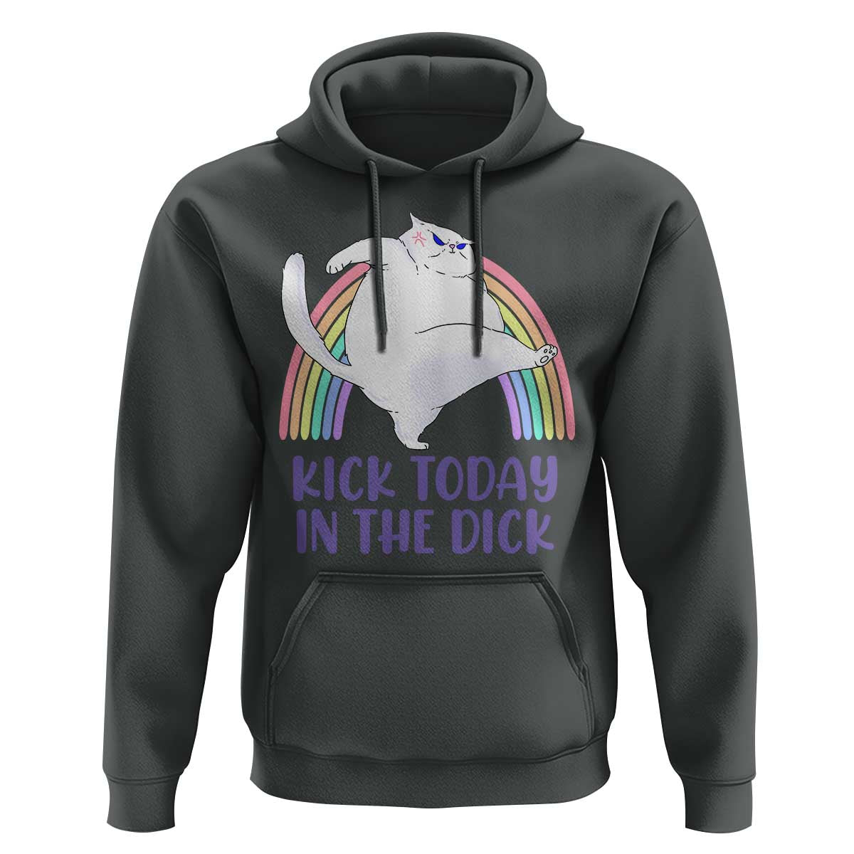 Funny Sarcastic Cat Hoodie Kick Today In The Dick Pastel Rainbow
