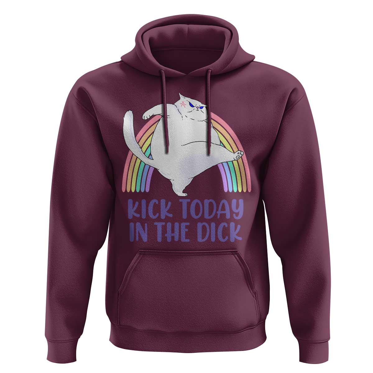 Funny Sarcastic Cat Hoodie Kick Today In The Dick Pastel Rainbow