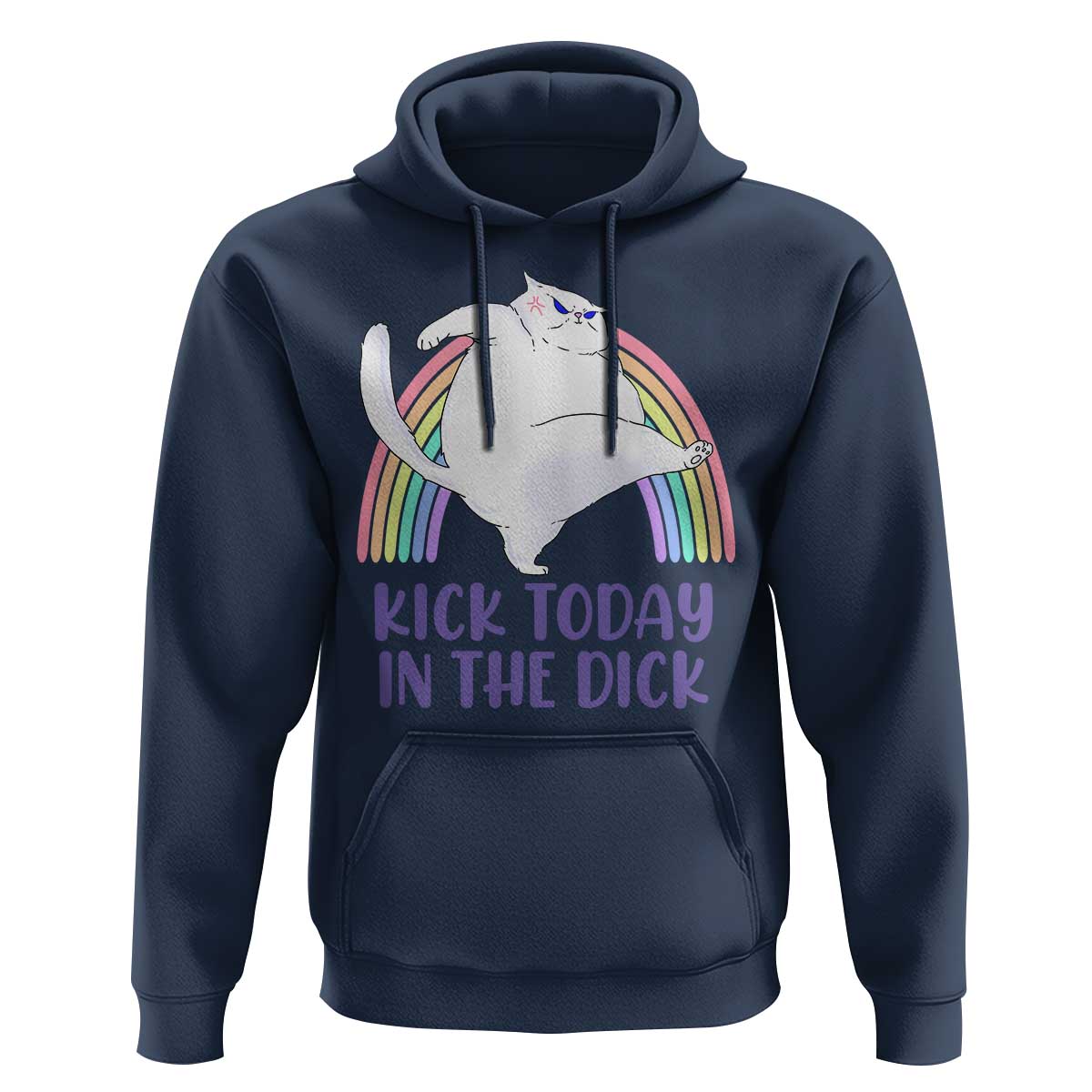 Funny Sarcastic Cat Hoodie Kick Today In The Dick Pastel Rainbow