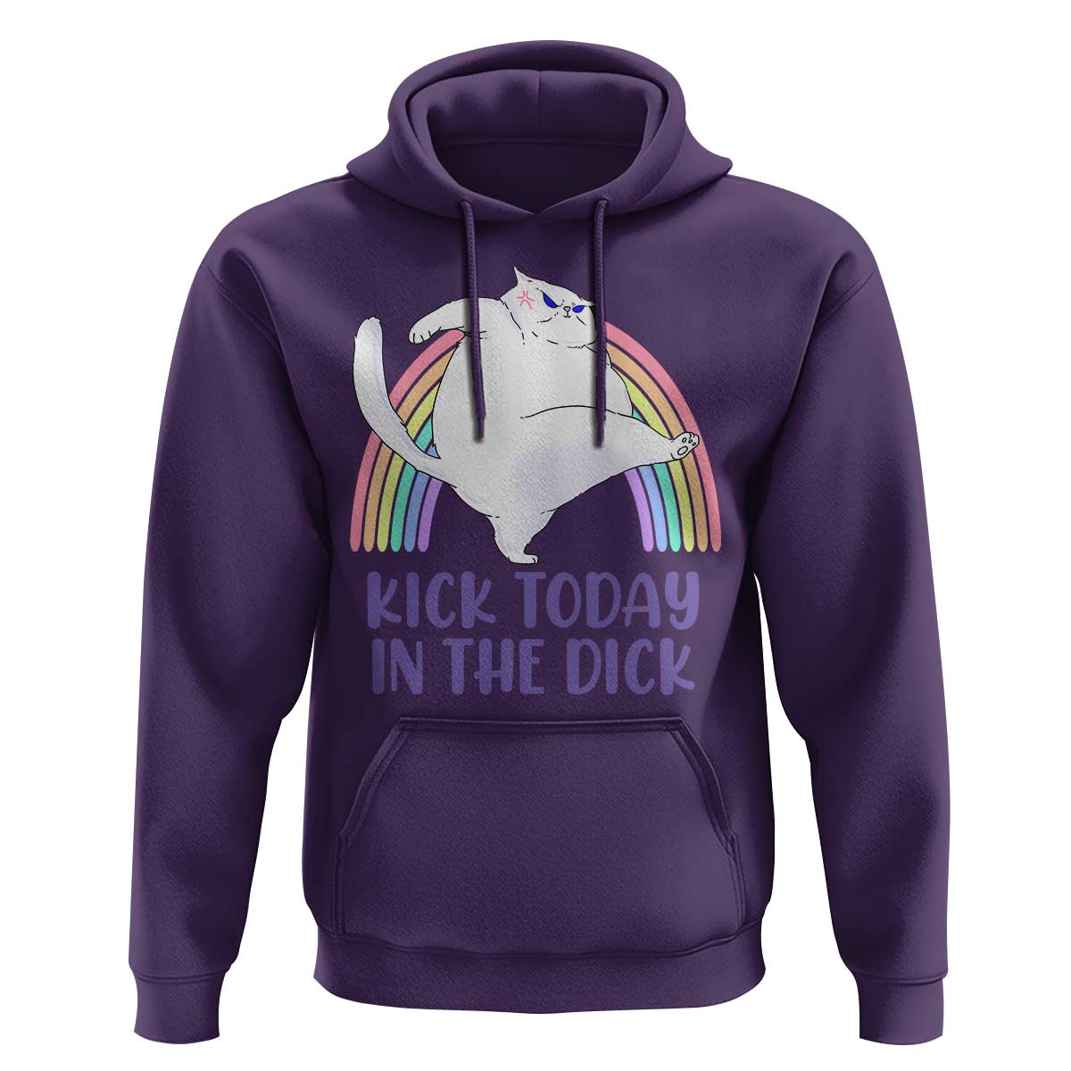 Funny Sarcastic Cat Hoodie Kick Today In The Dick Pastel Rainbow