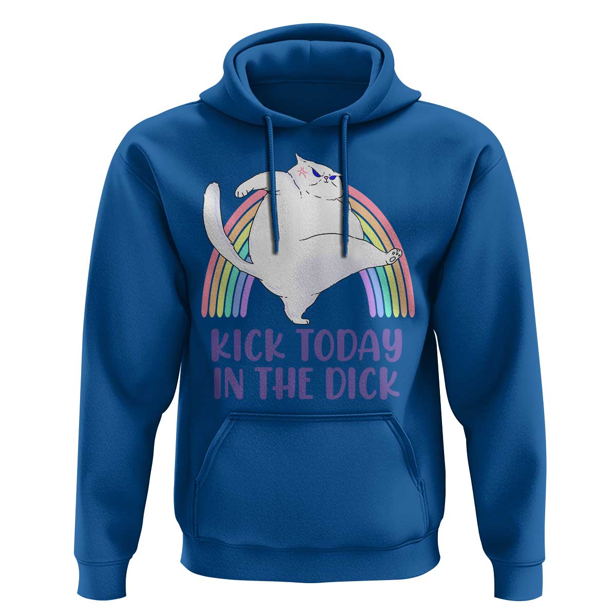 Funny Sarcastic Cat Hoodie Kick Today In The Dick Pastel Rainbow