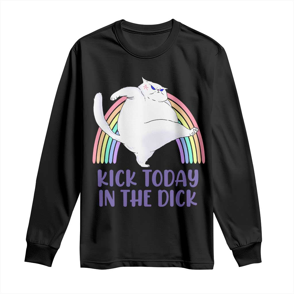 Funny Sarcastic Cat Long Sleeve Shirt Kick Today In The Dick Pastel Rainbow