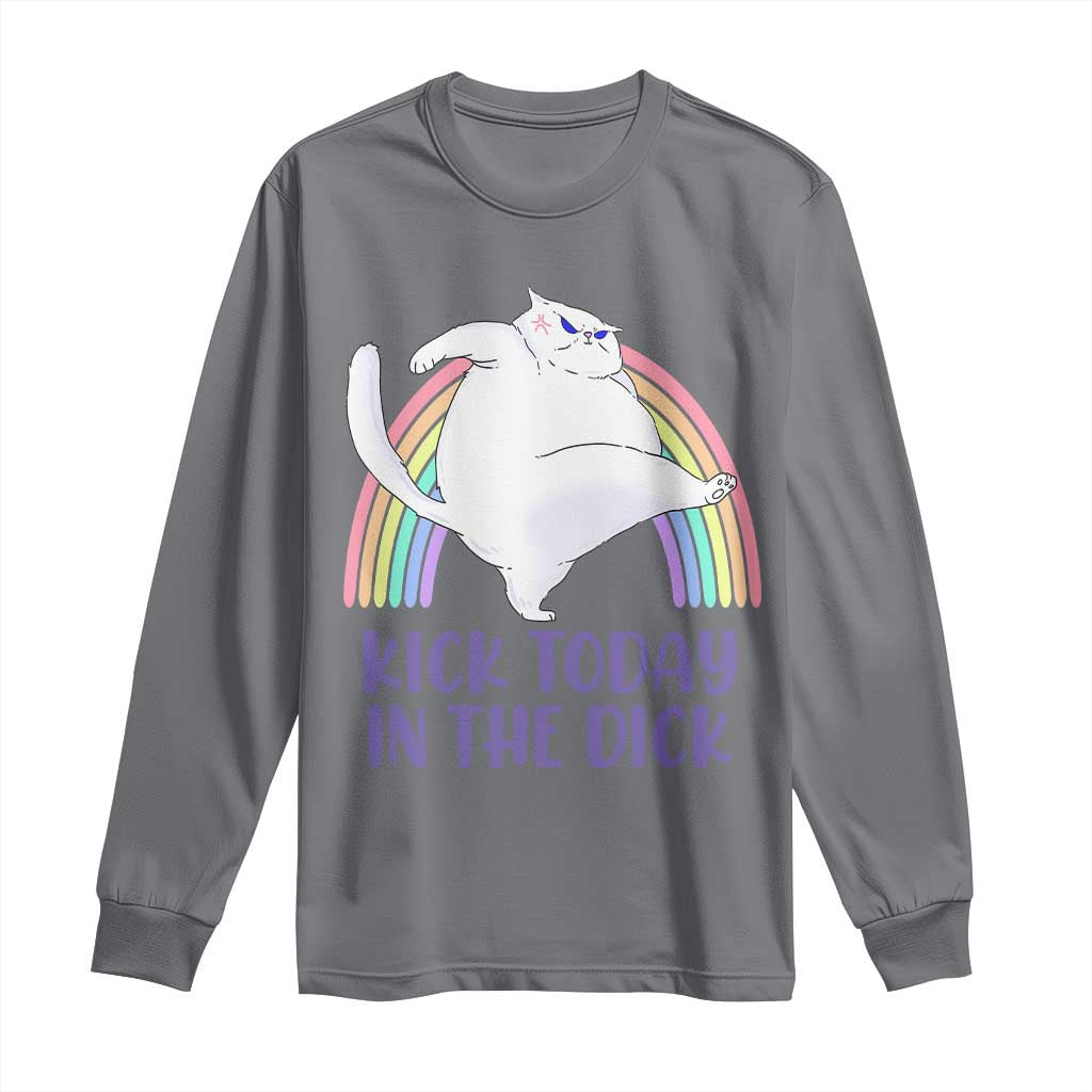 Funny Sarcastic Cat Long Sleeve Shirt Kick Today In The Dick Pastel Rainbow