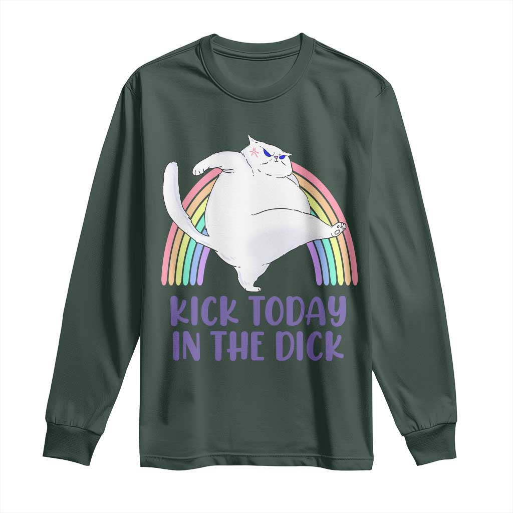 Funny Sarcastic Cat Long Sleeve Shirt Kick Today In The Dick Pastel Rainbow