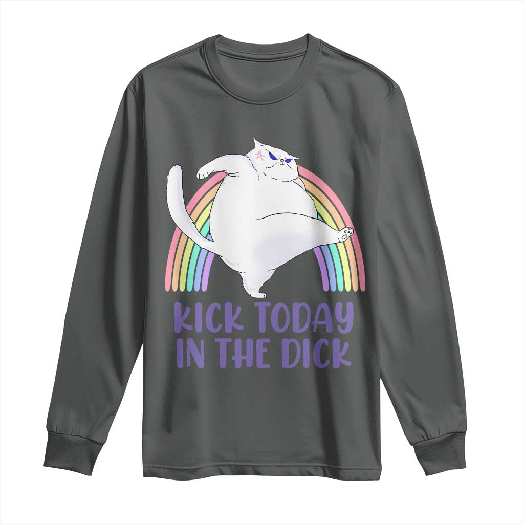 Funny Sarcastic Cat Long Sleeve Shirt Kick Today In The Dick Pastel Rainbow