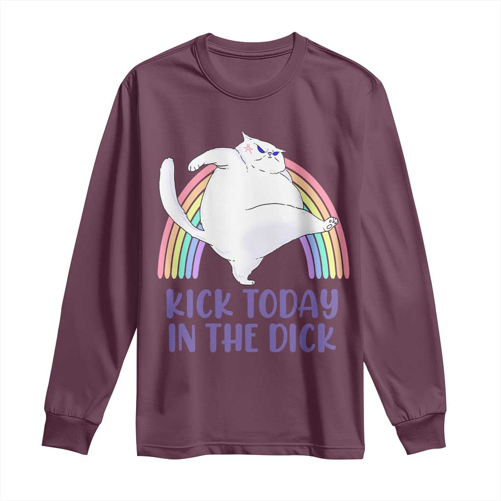 Funny Sarcastic Cat Long Sleeve Shirt Kick Today In The Dick Pastel Rainbow