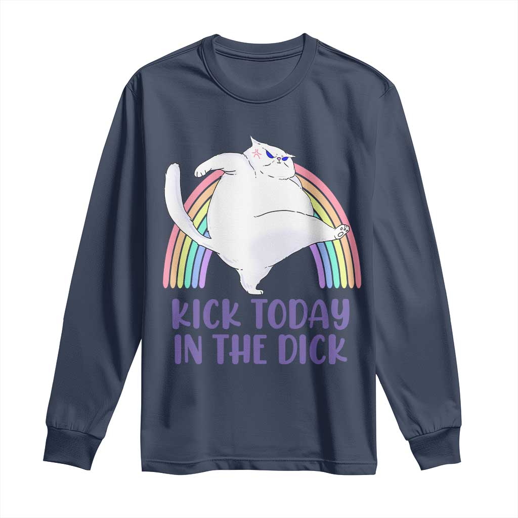 Funny Sarcastic Cat Long Sleeve Shirt Kick Today In The Dick Pastel Rainbow