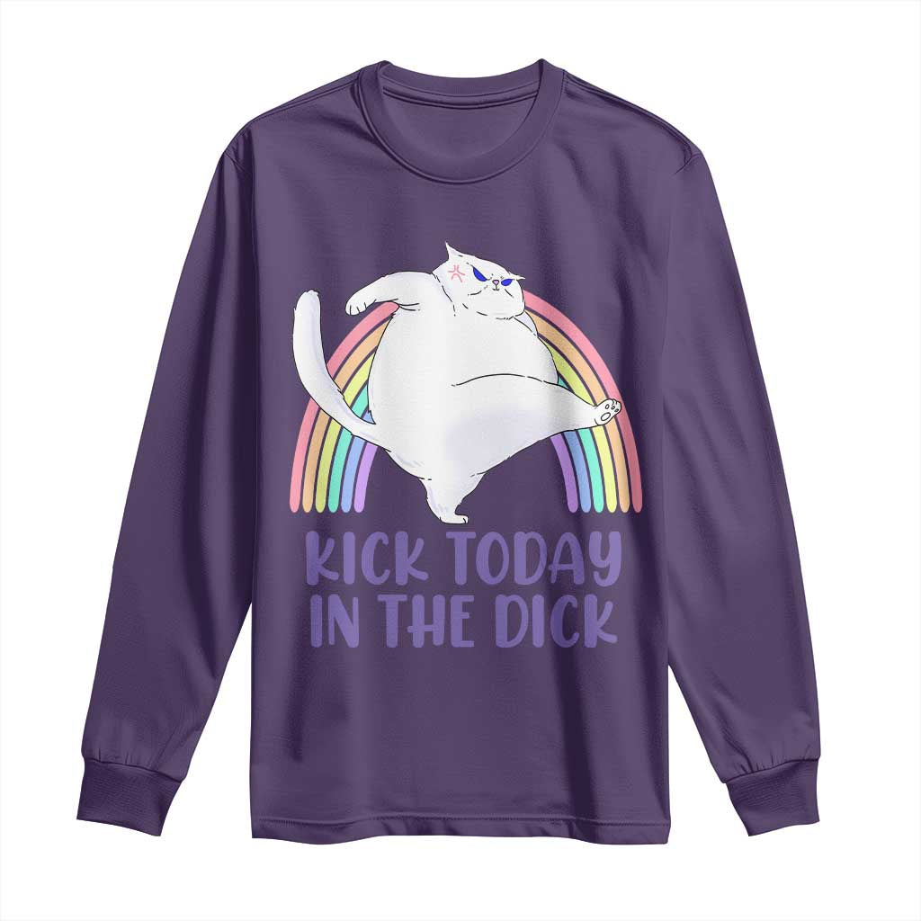 Funny Sarcastic Cat Long Sleeve Shirt Kick Today In The Dick Pastel Rainbow