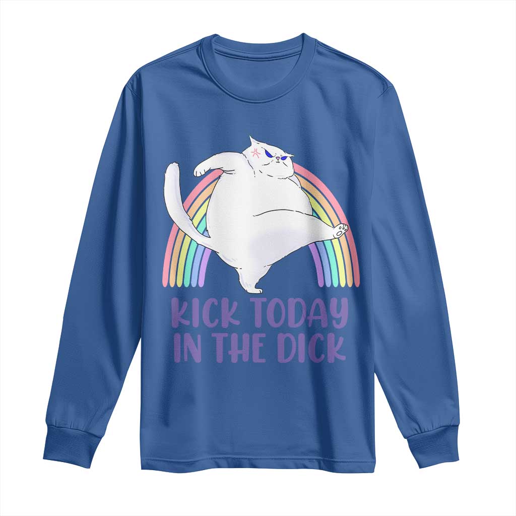 Funny Sarcastic Cat Long Sleeve Shirt Kick Today In The Dick Pastel Rainbow